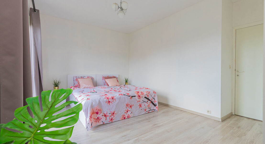 Appartement te koop in Opwijk