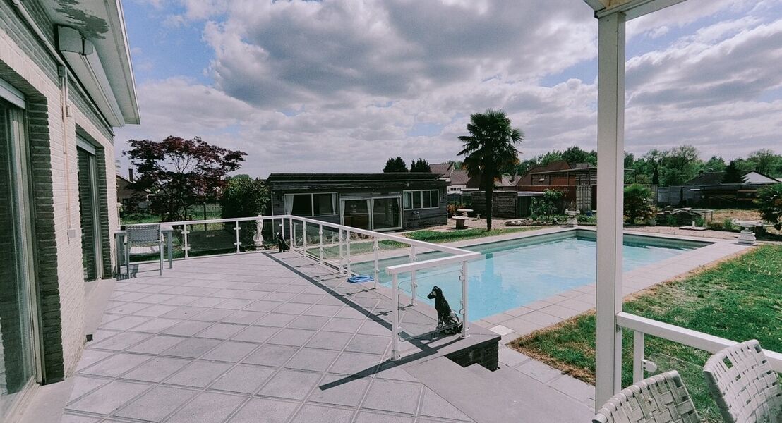 Bungalow te huur in Ninove
